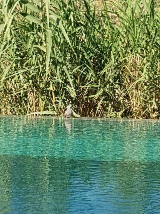 Le Figuier Du Lac Bin Elouidane Экстерьер фото
